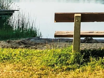 Juni 2021 | Sommerbeitrag